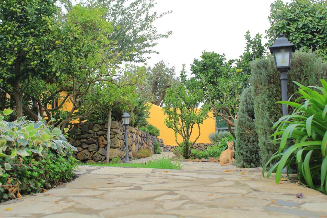 Finca La Majadera El Rosario  Eksteriør billede