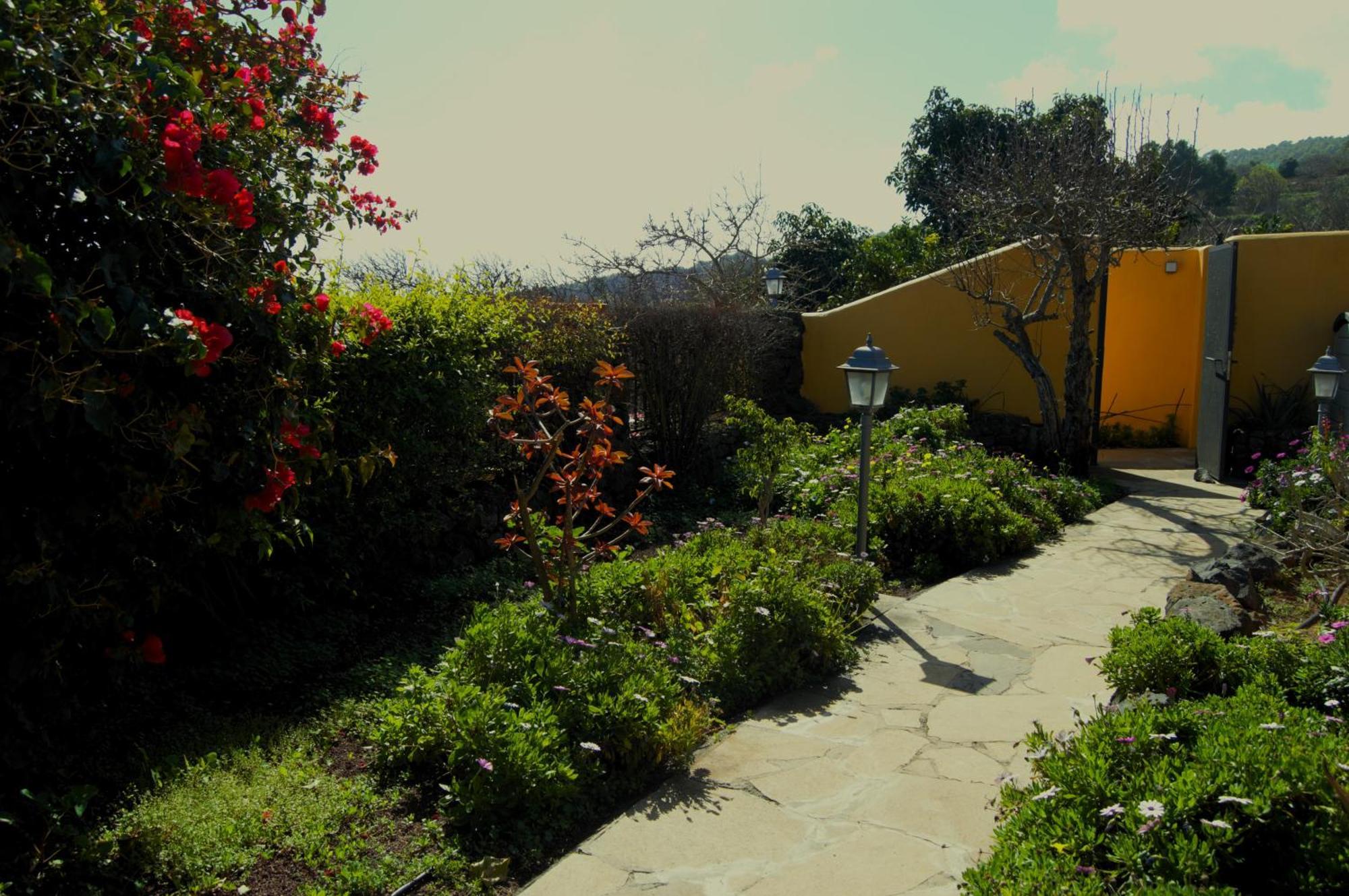 Finca La Majadera El Rosario  Eksteriør billede